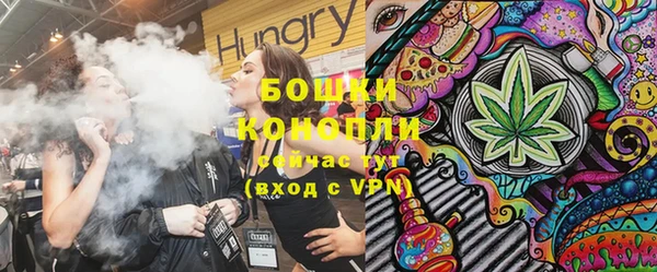 PSILOCYBIN Бородино