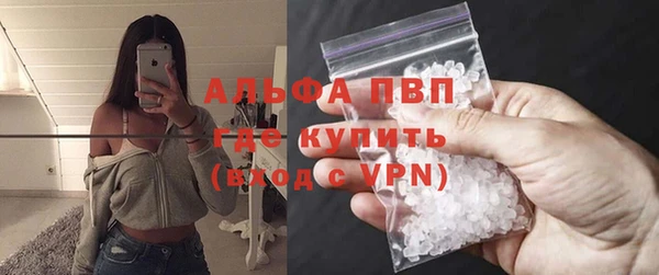 PSILOCYBIN Бородино