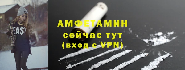 PSILOCYBIN Бородино
