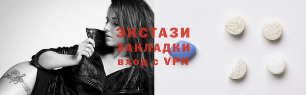 PSILOCYBIN Бородино