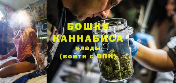 PSILOCYBIN Бородино