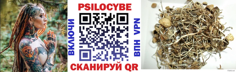 купить наркотики цена Одинцово Псилоцибиновые грибы MAGIC MUSHROOMS